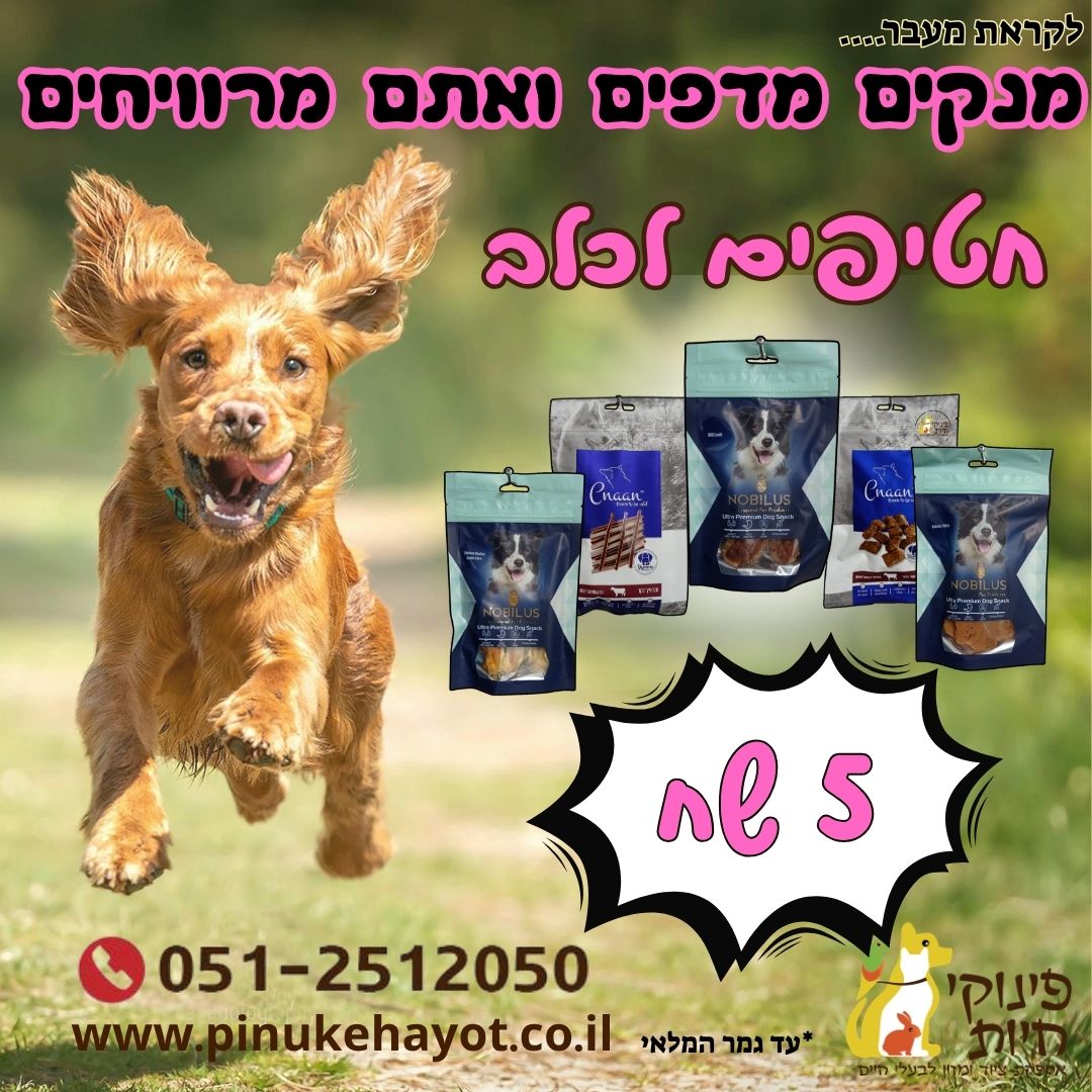 חטיפים ב 5 שח